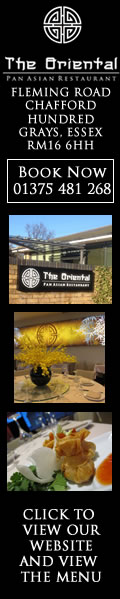 theorientalpanasian120x600jpg
